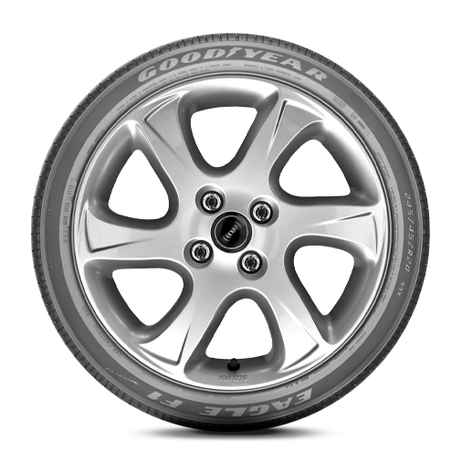 Eagle F1 SuperCar, rim