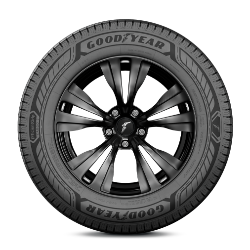 EfficientGrip Cargo 2, rim