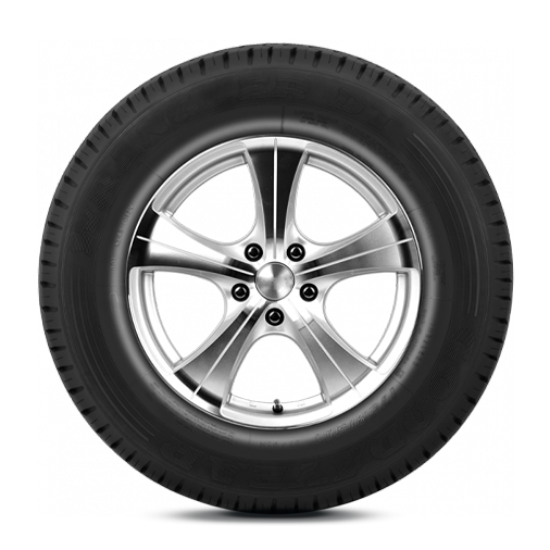 Wrangler DT, rim